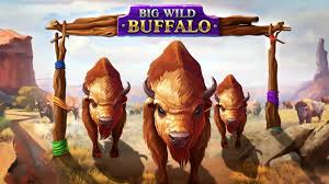 Big Wild Buffalo